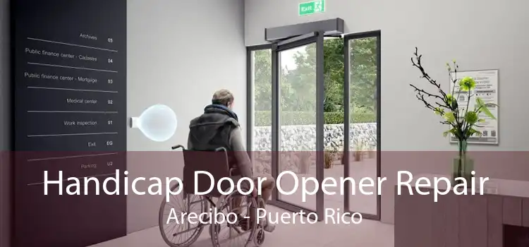 Handicap Door Opener Repair Arecibo - Puerto Rico