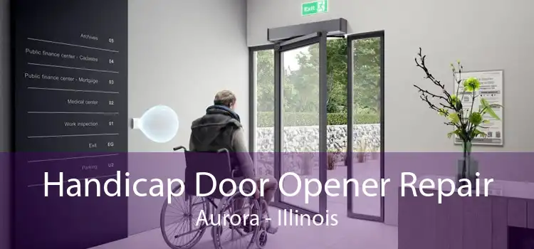 Handicap Door Opener Repair Aurora - Illinois