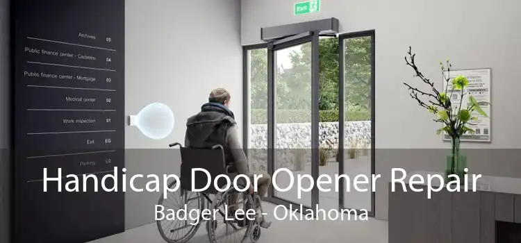 Handicap Door Opener Repair Badger Lee - Oklahoma