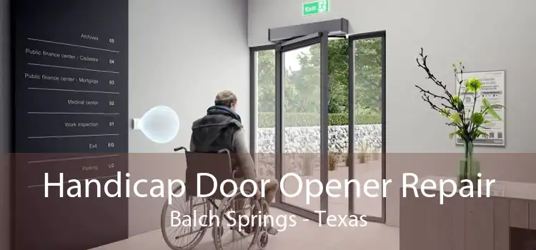 Handicap Door Opener Repair Balch Springs - Texas