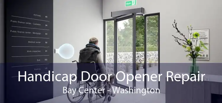Handicap Door Opener Repair Bay Center - Washington