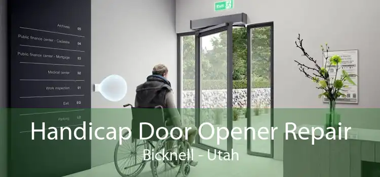 Handicap Door Opener Repair Bicknell - Utah