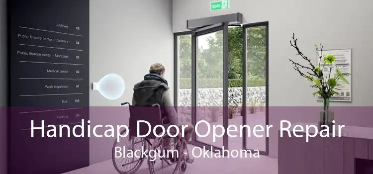 Handicap Door Opener Repair Blackgum - Oklahoma
