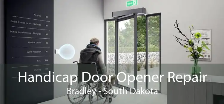 Handicap Door Opener Repair Bradley - South Dakota