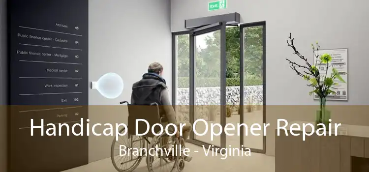 Handicap Door Opener Repair Branchville - Virginia