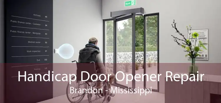 Handicap Door Opener Repair Brandon - Mississippi