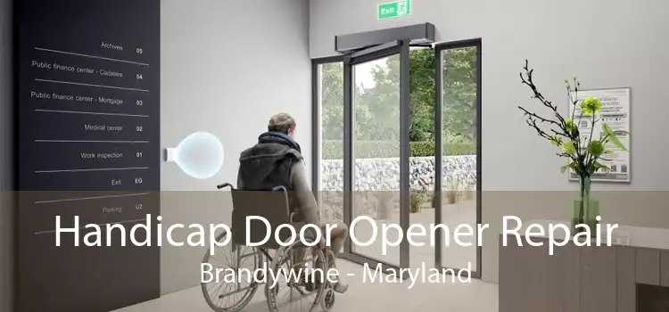 Handicap Door Opener Repair Brandywine - Maryland
