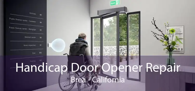 Handicap Door Opener Repair Brea - California