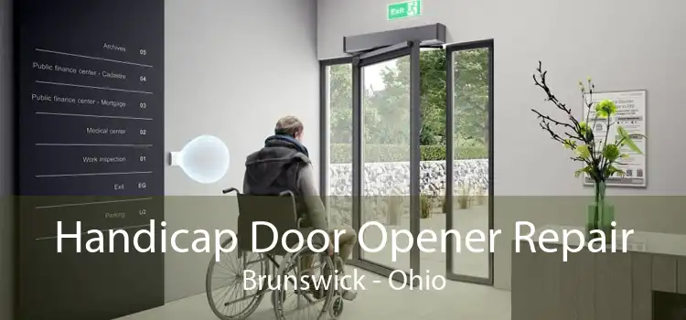 Handicap Door Opener Repair Brunswick - Ohio