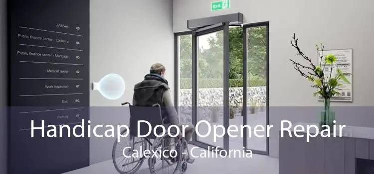 Handicap Door Opener Repair Calexico - California