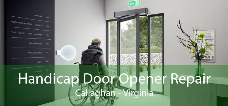 Handicap Door Opener Repair Callaghan - Virginia