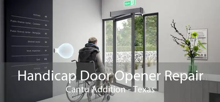 Handicap Door Opener Repair Cantu Addition - Texas
