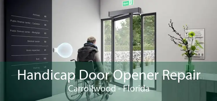 Handicap Door Opener Repair Carrollwood - Florida