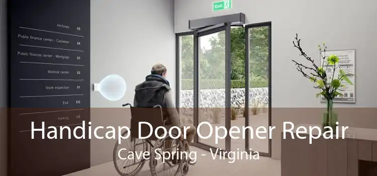 Handicap Door Opener Repair Cave Spring - Virginia