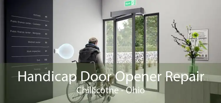 Handicap Door Opener Repair Chillicothe - Ohio