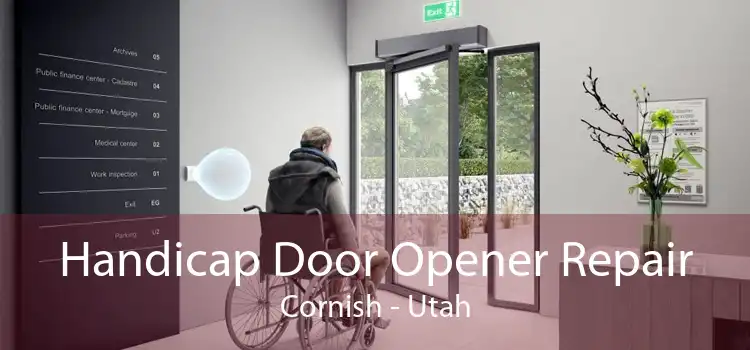 Handicap Door Opener Repair Cornish - Utah