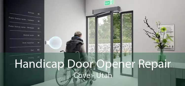 Handicap Door Opener Repair Cove - Utah