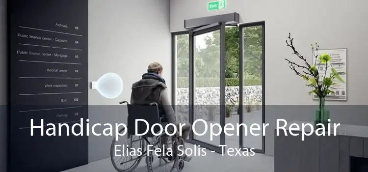 Handicap Door Opener Repair Elias Fela Solis - Texas