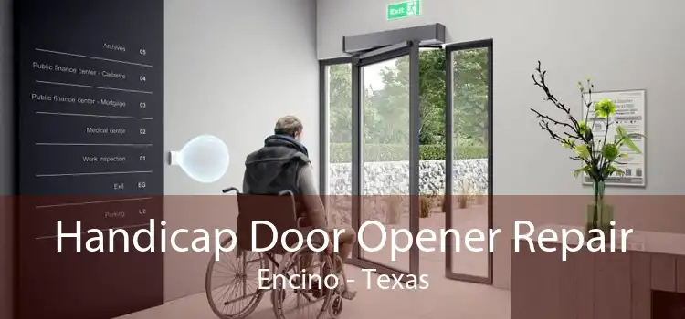Handicap Door Opener Repair Encino - Texas
