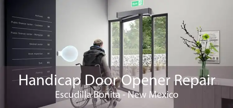 Handicap Door Opener Repair Escudilla Bonita - New Mexico