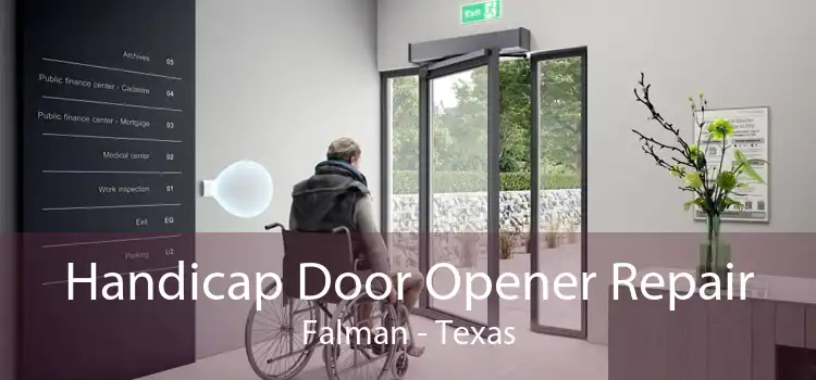 Handicap Door Opener Repair Falman - Texas