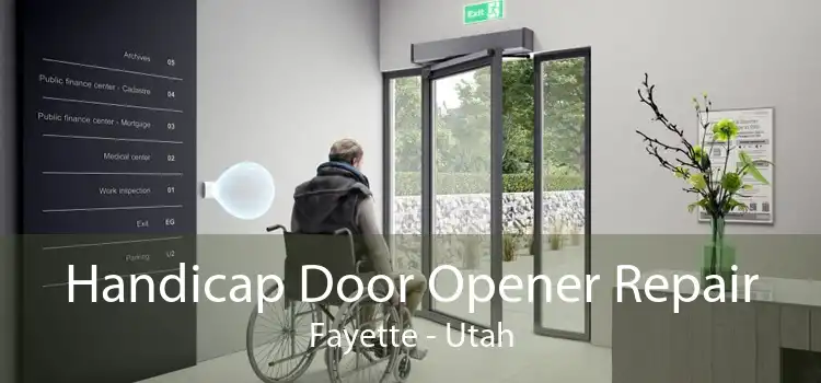 Handicap Door Opener Repair Fayette - Utah