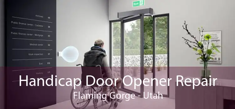 Handicap Door Opener Repair Flaming Gorge - Utah