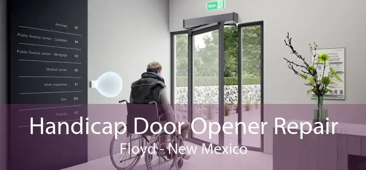 Handicap Door Opener Repair Floyd - New Mexico