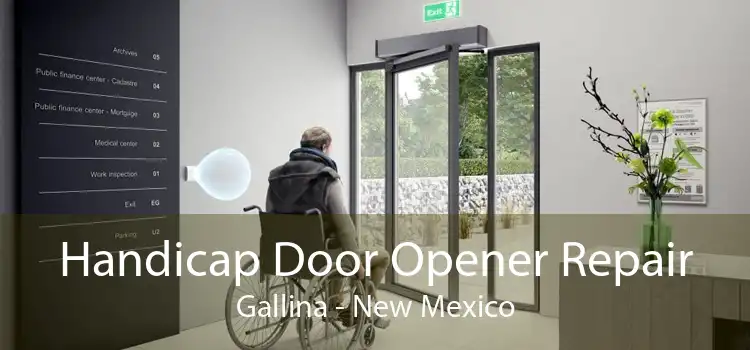 Handicap Door Opener Repair Gallina - New Mexico