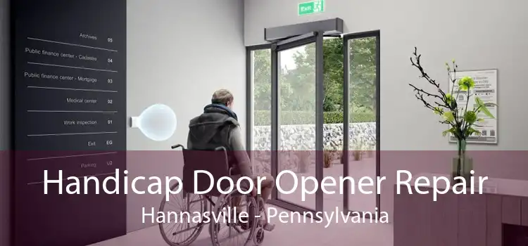 Handicap Door Opener Repair Hannasville - Pennsylvania