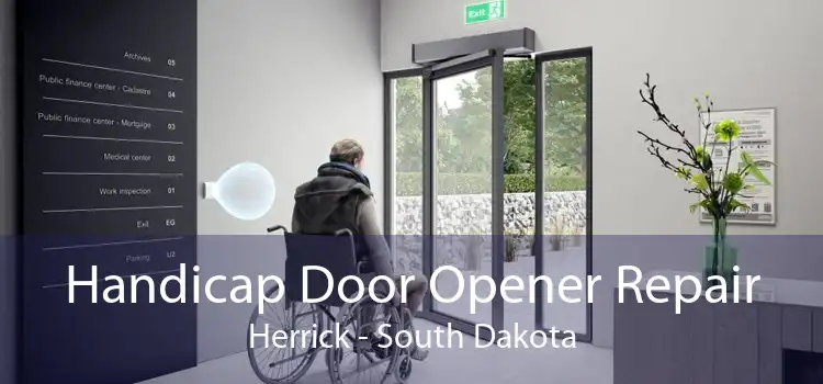 Handicap Door Opener Repair Herrick - South Dakota