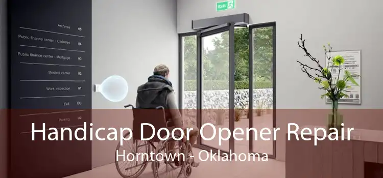 Handicap Door Opener Repair Horntown - Oklahoma