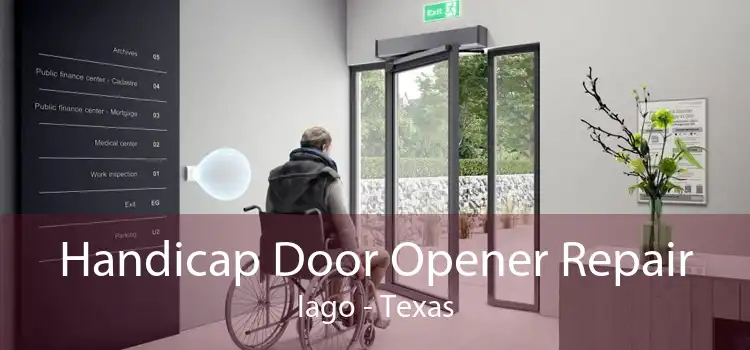 Handicap Door Opener Repair Iago - Texas