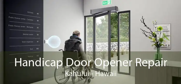 Handicap Door Opener Repair Kahului - Hawaii
