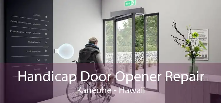 Handicap Door Opener Repair Kaneohe - Hawaii