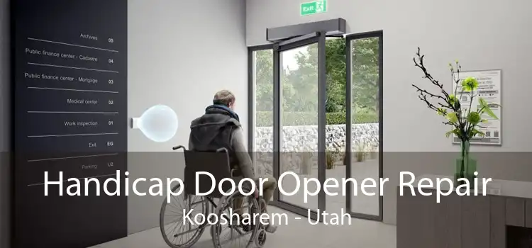 Handicap Door Opener Repair Koosharem - Utah