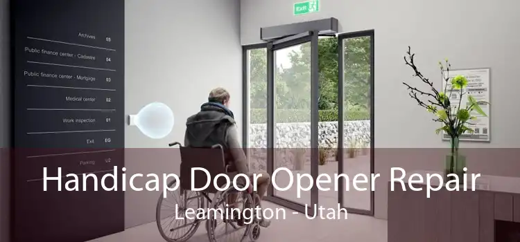 Handicap Door Opener Repair Leamington - Utah