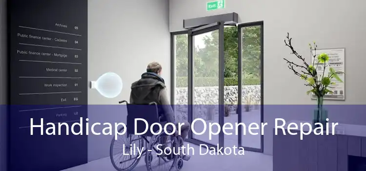 Handicap Door Opener Repair Lily - South Dakota