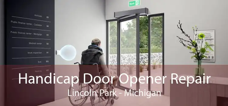Handicap Door Opener Repair Lincoln Park - Michigan