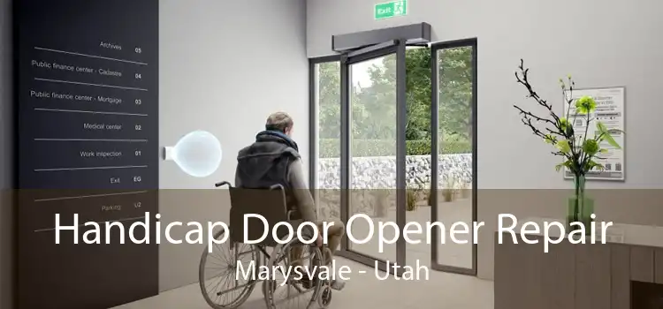Handicap Door Opener Repair Marysvale - Utah
