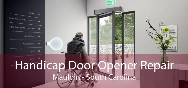 Handicap Door Opener Repair Mauldin - South Carolina