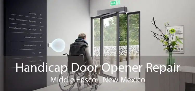 Handicap Door Opener Repair Middle Frisco - New Mexico