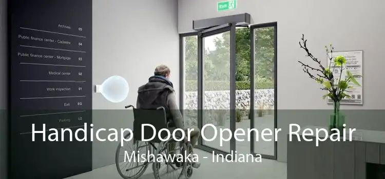 Handicap Door Opener Repair Mishawaka - Indiana