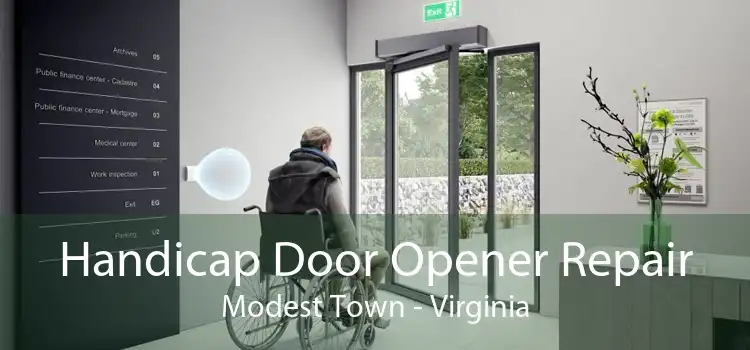 Handicap Door Opener Repair Modest Town - Virginia