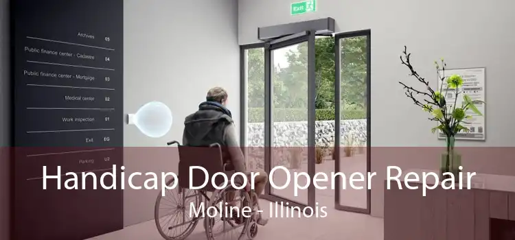 Handicap Door Opener Repair Moline - Illinois