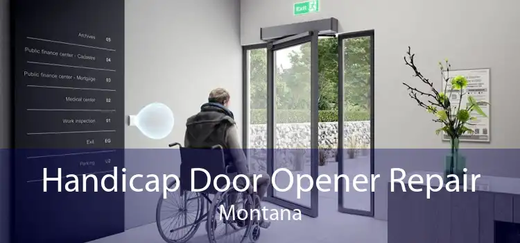 Handicap Door Opener Repair Montana