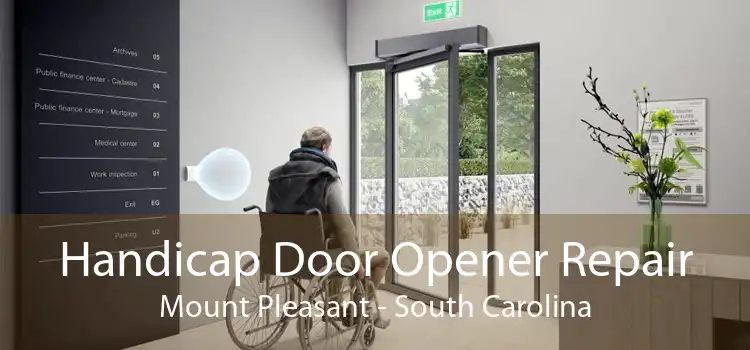 Handicap Door Opener Repair Mount Pleasant - South Carolina