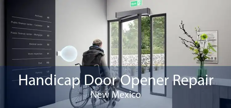 Handicap Door Opener Repair New Mexico