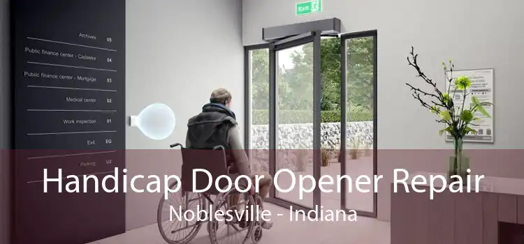 Handicap Door Opener Repair Noblesville - Indiana