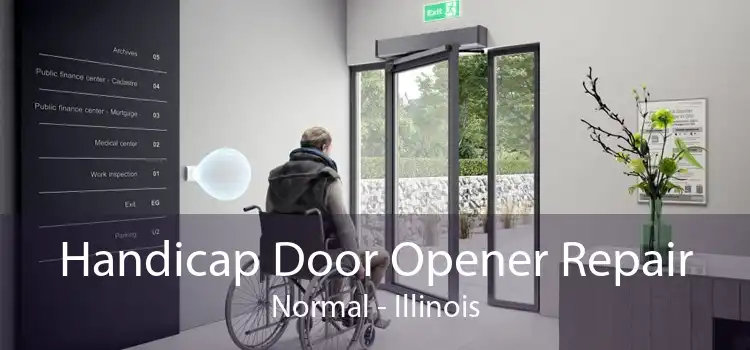 Handicap Door Opener Repair Normal - Illinois